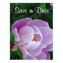 Pink Peony Save the Date Postcard