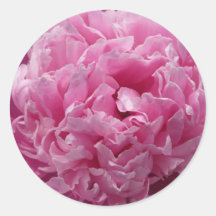 Pink Peony Stickers