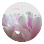 Pink Peony Texture Custom Envelope Seals Round Stickers
