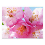 Pink Petal Inspiration Photo Art
