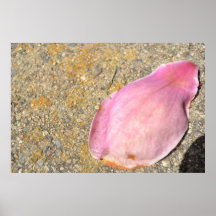 Pink Petal Posters