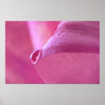 ~Pink petals~ Poster