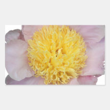 Pink Petals Rectangle Sticker