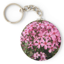 Pink Phlox
