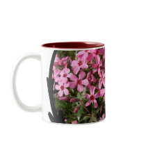 Pink Phlox Coffee Mugs