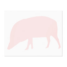 Pink Pig Canvas Print