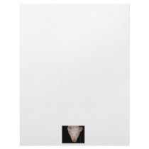 Pink pig head against black background letterhead template