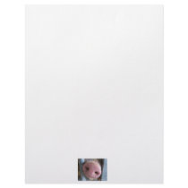 Pink Pig nose close up photograph Custom Letterhead