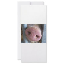 Pink Pig nose close up photograph Custom Rack Cards