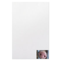 Pink Pig nose close up photograph Stationery