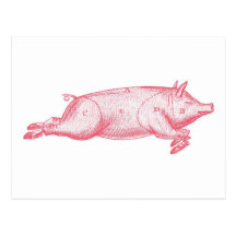Pink Pig Postcard