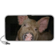 Pink Piglet iPhone Speaker