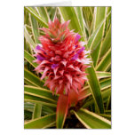 Pink Pineapple Greeting Cards