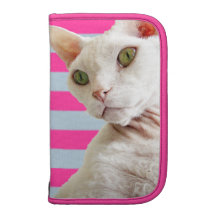 Pink Planner | White Devon Rex Cat