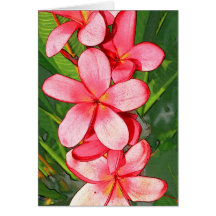 Pink plumeria card