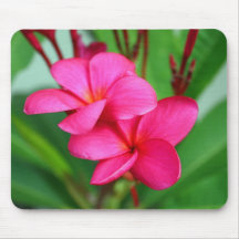 Pink Plumeria Frangipani Hawaiian Flower Mouse Pads