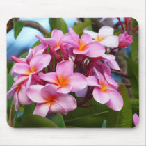 Pink Plumeria from Hawaii mousepads
