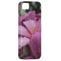 Pink Plumeria iPhone 5 Cover