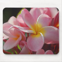 Pink Plumeria Mouse Mats