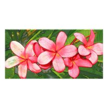 Pink plumeria personalized photo card