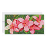 Pink plumeria photo cards
