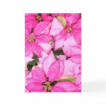 Pink Poinsettia Cards
