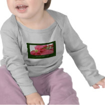 Pink Poinsettias 1 - Seasons Greetings