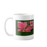 Pink Poinsettias 3 Coffee Mugs