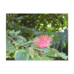 Pink Pom-Pom Postcards