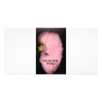 PINK POODLE 1 PHOTO GREETING CARD