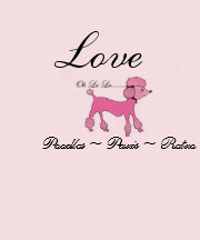Pink Poodle Tshirts