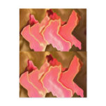 Pink Praise -  Rose Petal Art postcards
