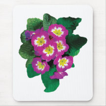Pink Primroses Seen From Above Mouse Pads