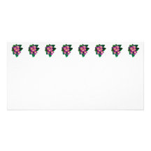 Pink Primroses Seen From Above Photo Cards