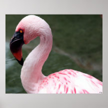 Pink Profile, S Cyr Posters