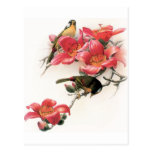 Pink Profusion Postcard