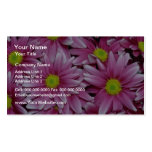 Pink Purple daisy chrysanthemums flowers Business Card Templates