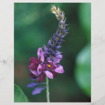 Pink Purple Flower on Flowering Kudzu Personalized Flyer
