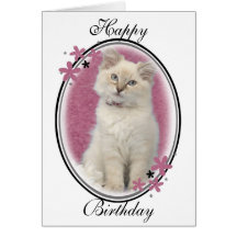 Pink Ragdoll Birthday Card