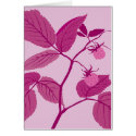 pink raspberry cards