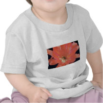 Pink Red cereus (Hylocereus spp.) flowers T-shirts