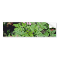 Pink Red Robin (Geranium Robertianum) flowers Bumper Sticker
