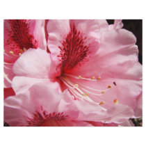 Pink Rhododendron Flowers Custom Flyers paper
