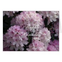 Pink Rhododendron Greeting Card