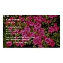 Pink Rhododendron Indicum 'Rose' (Azalea) flowers Business Card Templates