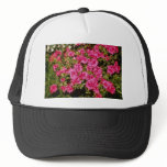 Pink Rhododendron Indicum 'Rose' (Azalea) flowers Hat
