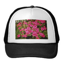 Pink Rhododendron Indicum 'Rose' (Azalea) flowers Hat