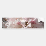 Pink Rhododendron Photo Bumper Stickers