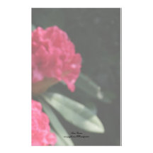 Pink Rhododendron Stationery Design