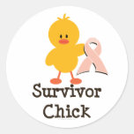 Pink Ribbon Survivor Chick Stickers